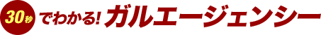 30秒でわかる!ガルエージェンシー